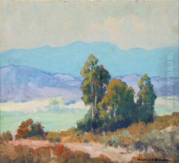 San Diego Area Landscape - view 1