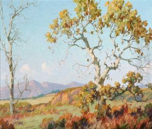 Landscape - The Sycamore Landscape - The Sycamore