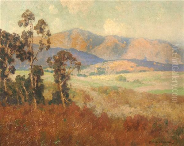 California Landscape With Distant Mountains - view 1