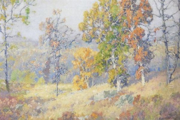 A Grey Day In Autumn - view 1
