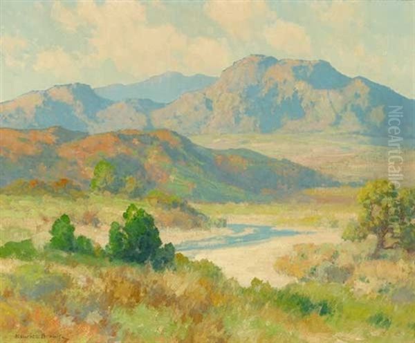 Riverbed - view 1