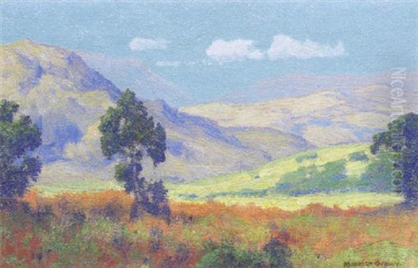 Foothills - view 1