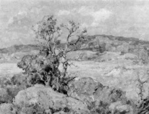 Sycamore In Autumn/the California Desert