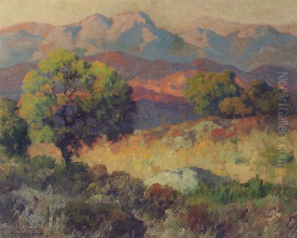 Midsummer - view 1