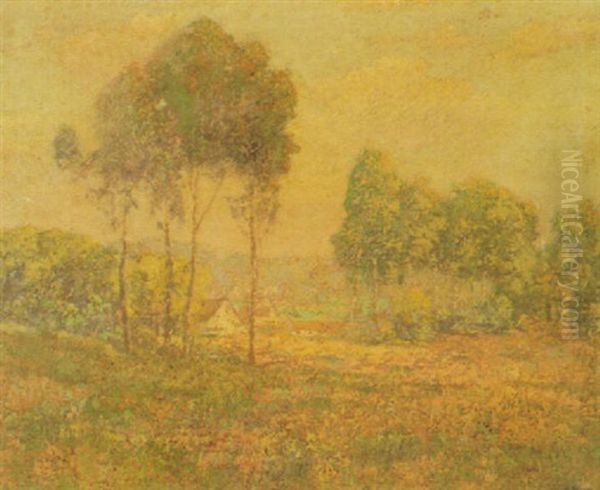 Eucalyptus Trees - view 1