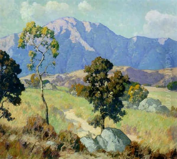 Mountain Shadows - view 1