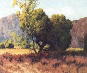 Oaks Oaks