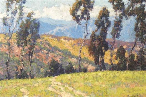 Eucalyptus Trees And Mountain - view 1