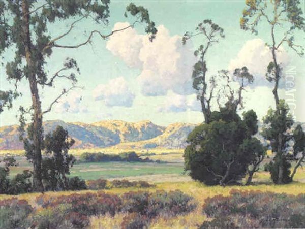 El Cajon Valley - view 1