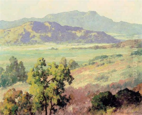 Valley Landscape In Spring - view 1