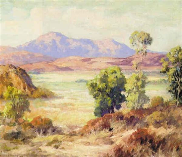 Midsummer, California - view 1