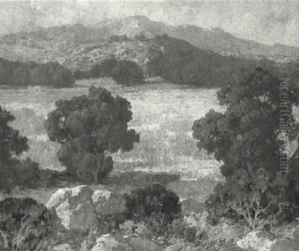 Hubbard Grove, San Diego - view 1