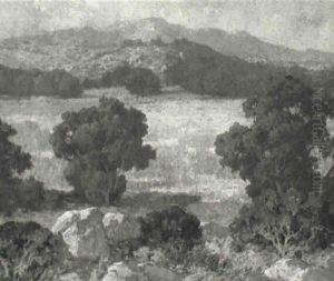 Hubbard Grove, San Diego by Maurice Braun