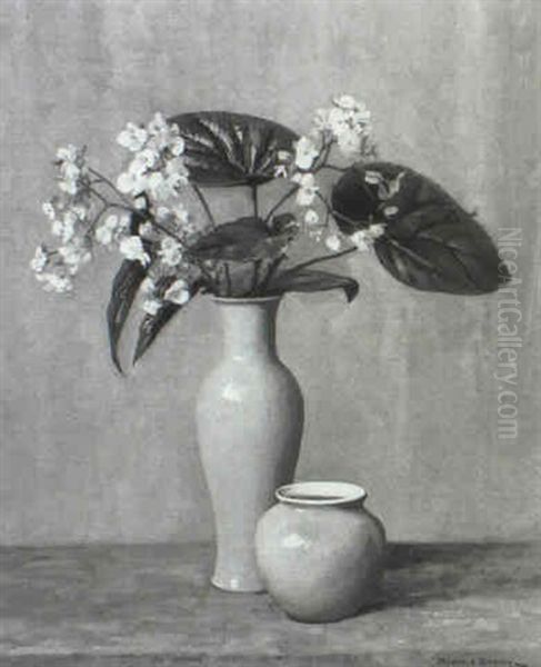 Begonias - view 1