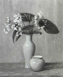 Begonias