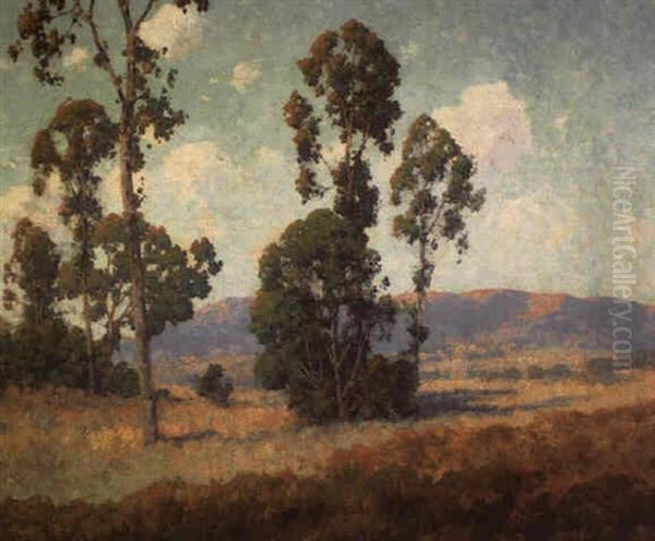 Eucalyptus Trees - view 1