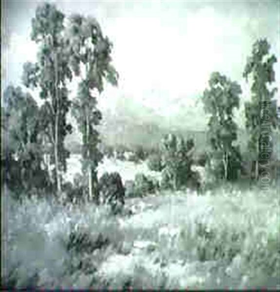 Hill Country - view 1