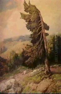 Windswept Pine by Maurice Braun