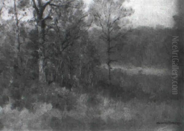 Edge Of The Woods - view 1