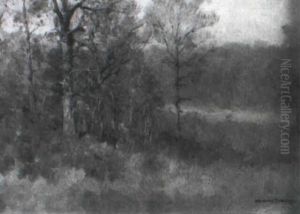 Edge Of The Woods