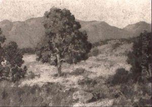 Untitled Landscape by Maurice Braun