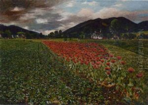 The Poppy Field by Wilhelm Hans Braun