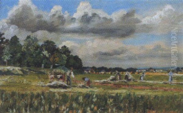 Sommerliche Feldlandschaft - view 1