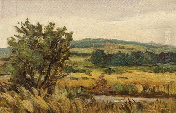 Mokriny - view 1