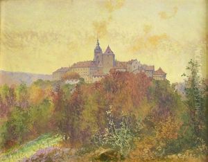 Prague Castle by Zdenka Braunerova