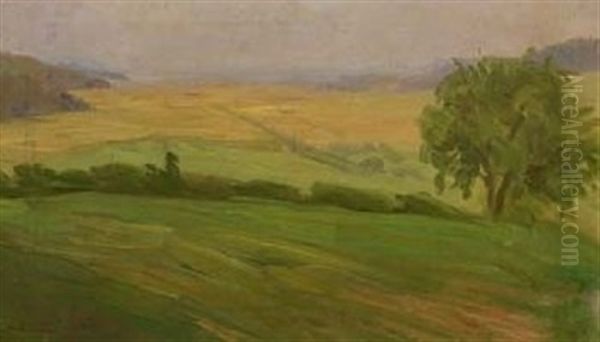 Hugellandschaft - view 1
