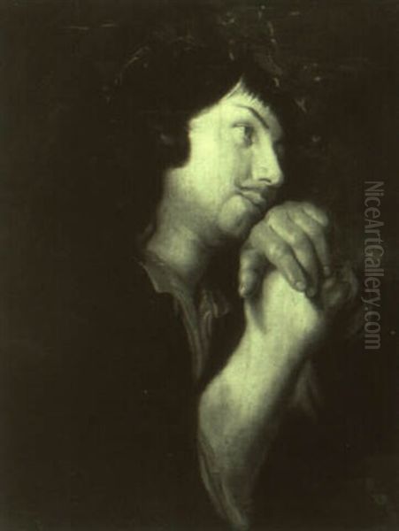 Young Shepherd - view 1