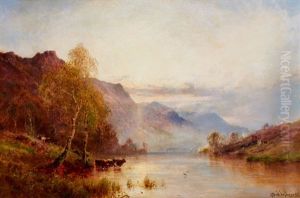 Highlands Cattle
