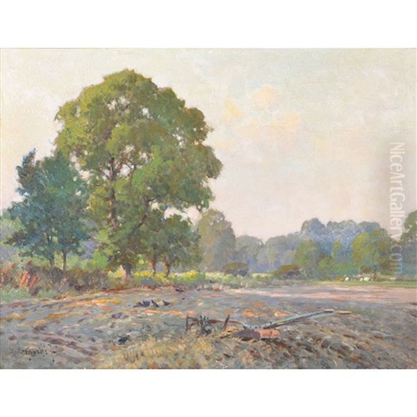 September Evening - view 1