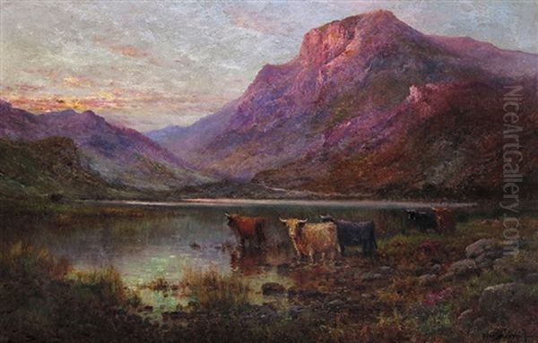 Evening - The Borders Of A Highland Loch - view 1
