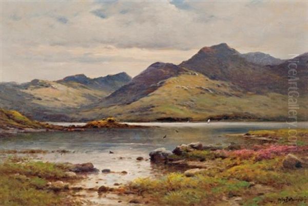 Loch Quoich, Inverness-shire - view 1
