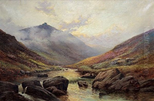 Tavy Cleave, Dartmoor - view 1