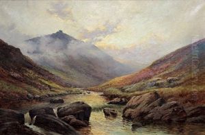 Tavy Cleave, Dartmoor