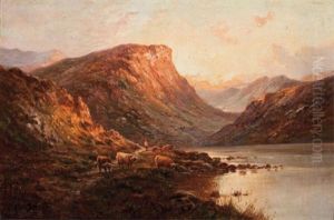 Highland Cattle At Sunrise