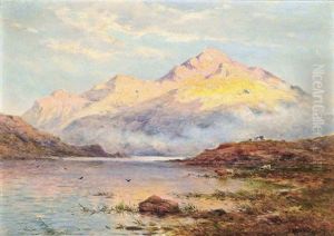 The Evening Light On A Highland Loch