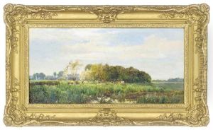 Cattle In A Marshy Field by Alfred Fontville de Breanski Jr