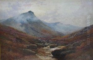 Tavy Cleave, Dartmoor