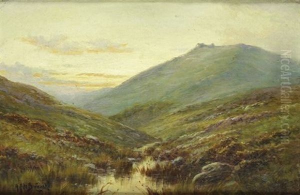 Paysage De Montagne - view 1