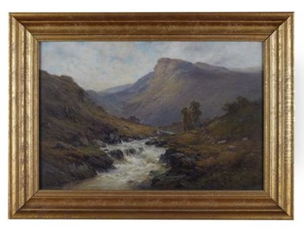In Glenfinlas N.b. - view 1