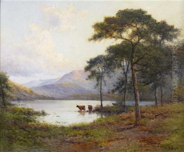 Evening In The Trossachs - view 1