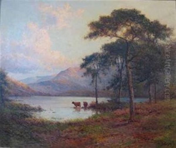 Evening In The Trossachs Nb - view 1