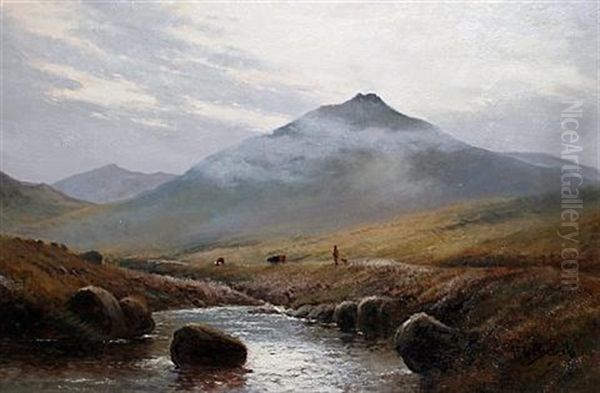 On The River Lyd, Dartmoor - view 1