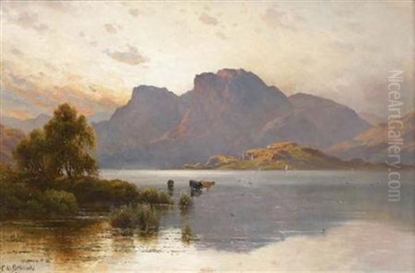 Cattle Watering In A Highland Loch - view 1
