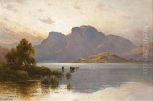 Cattle Watering In A Highland Loch