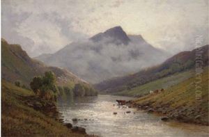 In The Lledr Valley, North Wales