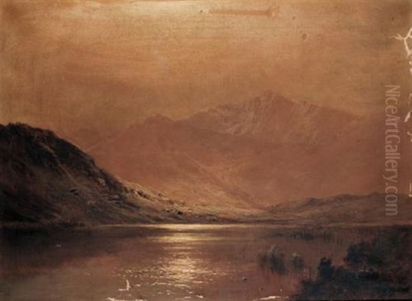 Moonlight, Llyn Gwernan, Dolgellau - view 1